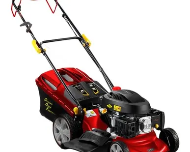 фото Газонокосилка DDE LM 46-60 D