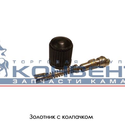 Фото №0 Золотник с колпачком
