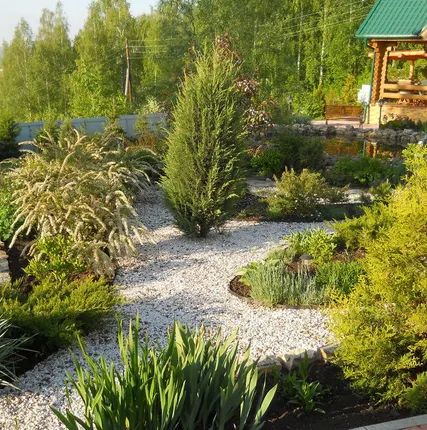 Фото №0 Посадка деревьев