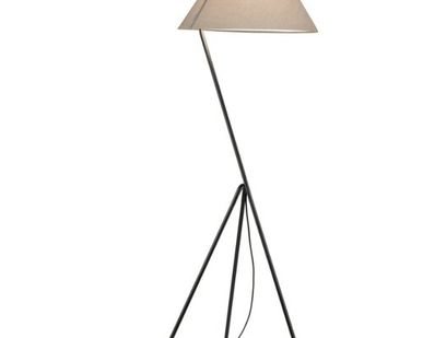 фото Торшер Paulmann Narve max 1x60W