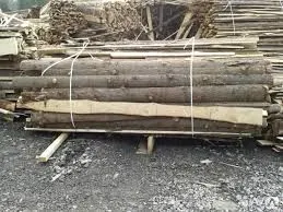 фото Горбыль