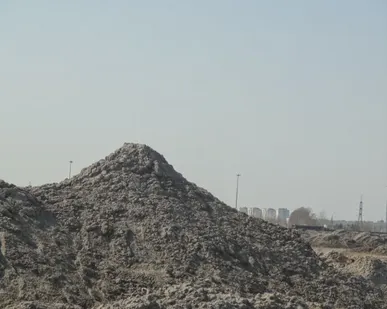 фото Земля на участок