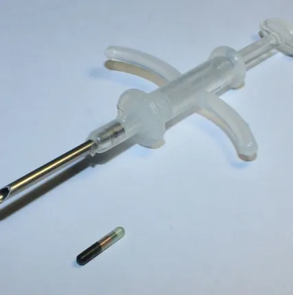 Фото №0 Микрочипы для идентификации животных