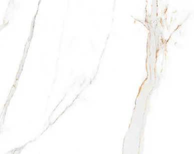 фото Regal Carrara керамогранит 60х120 полированный AB 1144G