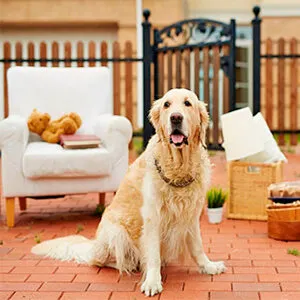 Фото №0 Дачный переезд