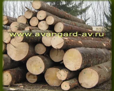 фото Пиловочник хвойный общего назначения ГОСТ 9462-88