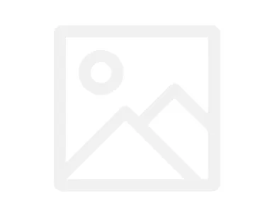 фото ЗУБИЛО ПЛОСКОЕ ESP SDS MAX W25 L400