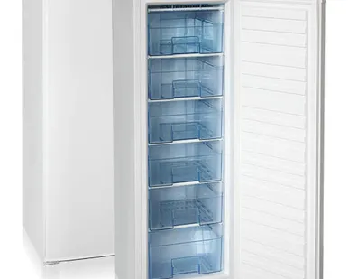 фото Шкаф морозильный Бирюса 116