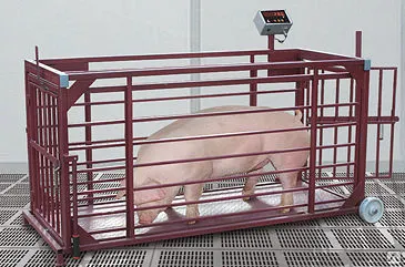 Фото №0 ВЕСЫ ДЛЯ ВЗВЕШИВАНИЯ ЖИВОТНЫХ ВП-ЖК -150 (90х40х50)