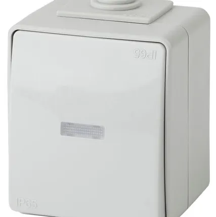 Фото №0 Выключатель 1-кл. ОП Эра Эксперт 10А IP65 11-1602-03 250В 10AX с подсветкой сер. Эра Б0035974