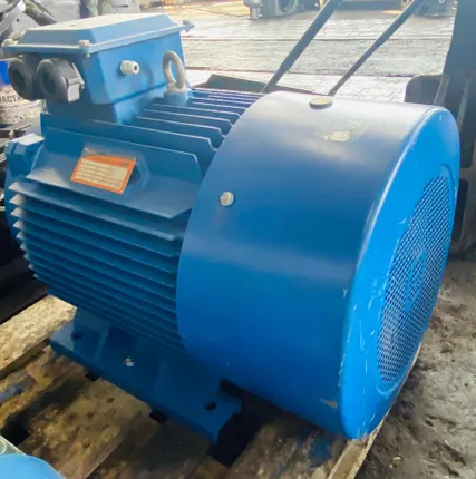 Фото №4 Электродвигатель 5аи 250 М6 55/1000 IM 1001