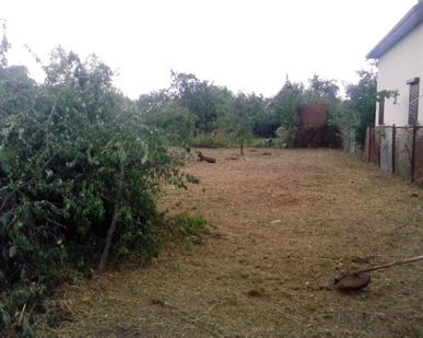 фото Уборка земельных участков