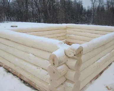 фото Срубы из Липы