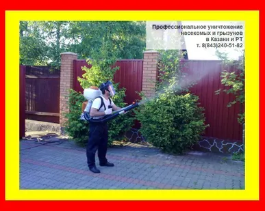 фото Обработка дачного участка от комаров