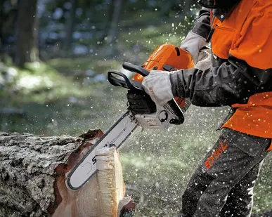 фото Аренда бензопилы