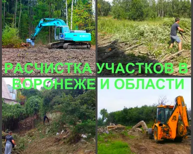 фото Расчистка участков. Мы расчистим ваш участок на совесть.