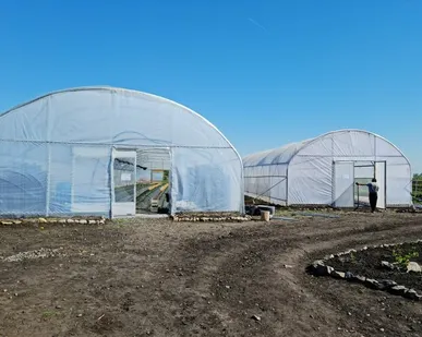 фото Теплицы на заказ