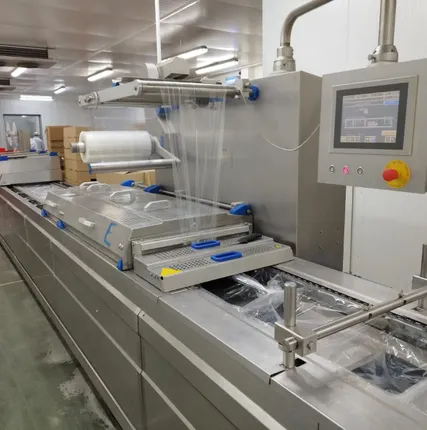 Фото №0 Термоформер Sealpac RE 25