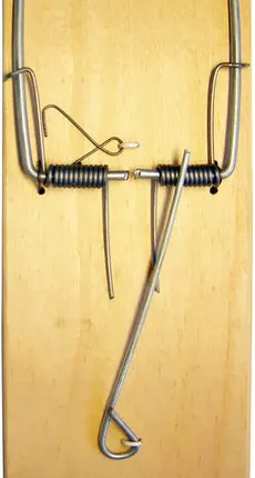 Фото №0 Капкан для грызунов