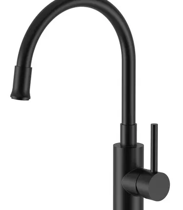 Фото №0 Смеситель для кухни Santek Риф гибкий излив WH5A44025N001 черный