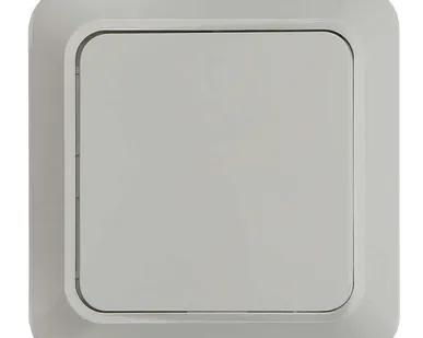 фото Выключатель 1-кл. ОП Bolleto 10А IP20 7021 бел. ASD / IN HOME 4680005959747