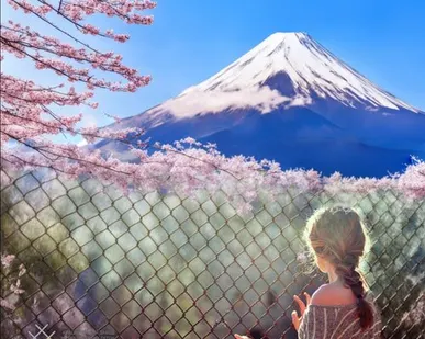 фото Сетка рабица Ø 2х(20х20) размер рулона 1,5х10 метра