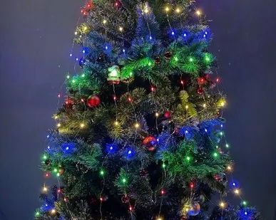 фото Гирлянда светодиодная "Дождик" 10 нитей 2м 200LED 220В IP20 мультиколор ЭРА Б0047966