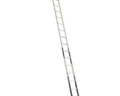 фото Лестница односекционная профессиональная Алюмет P1 9116