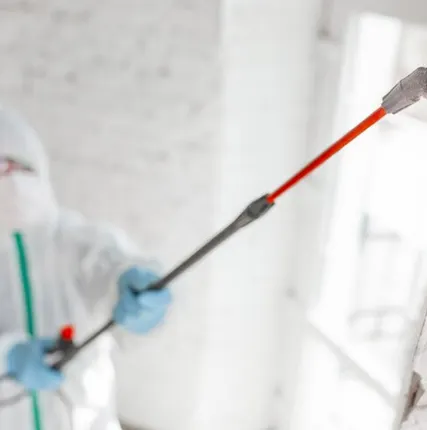 Фото №0 Обработка от плесени