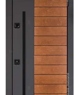 фото Входная дверь Сага SAGA.M94M.1