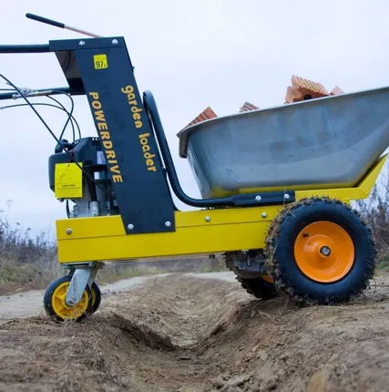 Фото №0 Мини-думпер ANT BY-150