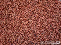 фото Керамзитовый гравий фракция 10 20