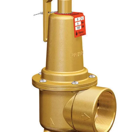 Фото №0 Клапан предохранительный 17с7нж