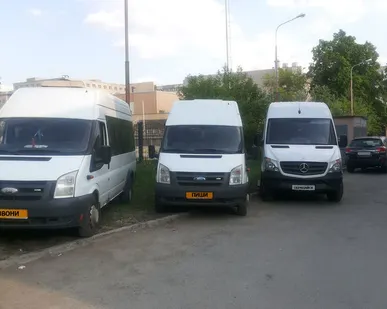 фото Аренда микроавтобусов, межгород, Ford Transit