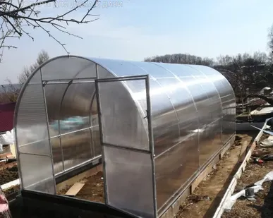 фото Теплица Трубная 2,5*6 метров с поликарбонатом