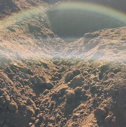 Фото №0 Чернозем Плодородный грунт