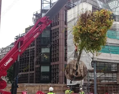 фото Аренда мини-крана Unic URW-1006, Москва