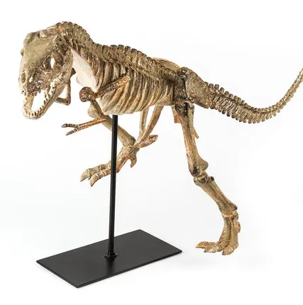 Фото №0 Фигура динозавра Shishi, полирезина CF1120756-F38