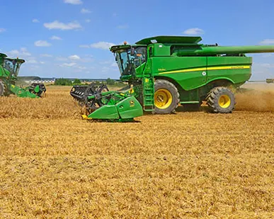 фото Услуги уборки урожая . Аренда комбайнов