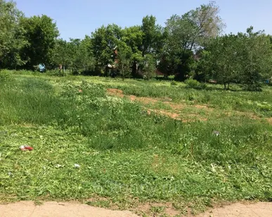 фото Услуги покоса травы