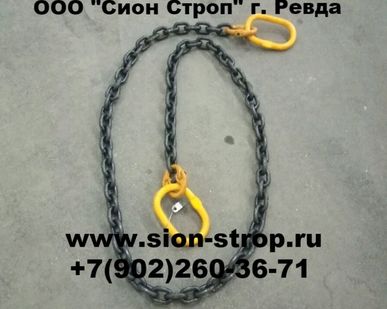 фото ВЦ Ветвь цепная.