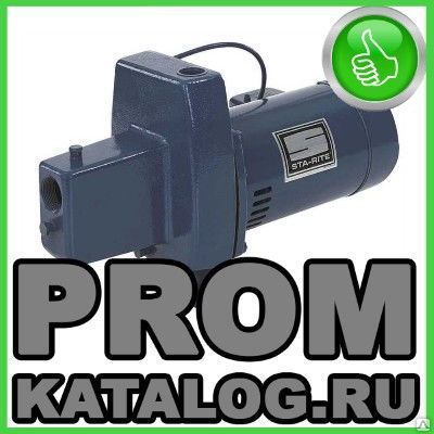 Фото №0 Насосы бытовые Pentair