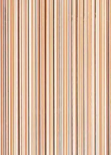 фото Декор Rako Botanica Orange 450x250
