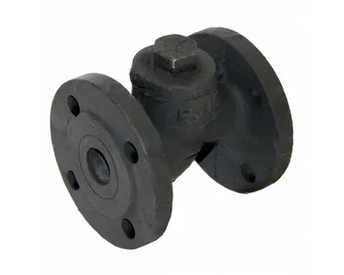 фото Клапан обратный подъемный 16ч3п