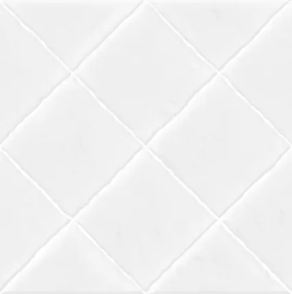 Фото №0 Alma Ceramica Salvia настенная плитка 249*500 TWU09SVA000