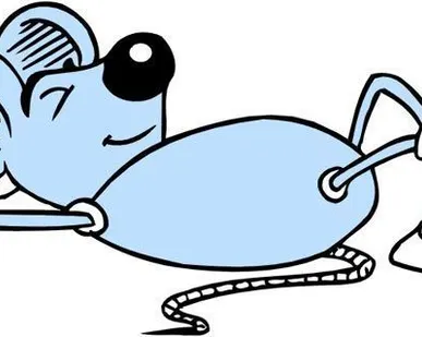 фото Услуги по дератизациии от мышей