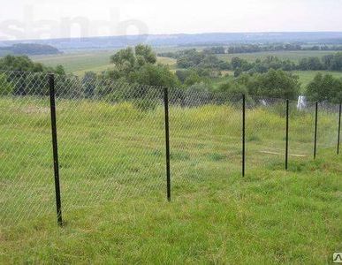 фото Заборы из сетки рабицы