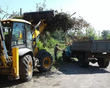 фото Удаление пней