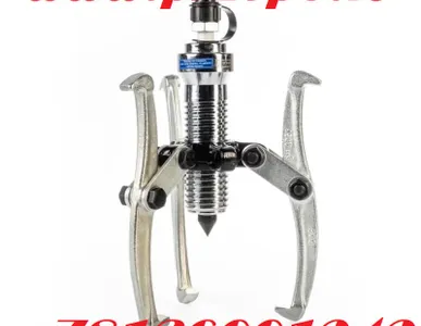 Одели? Теперь снимаем!