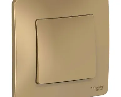 фото Переключатель проходной 1-кл. СП Blanca 10А IP20 (сх. 6) 250В титан SE BLNVS010604
